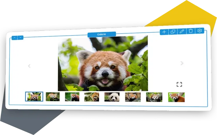 Strapi PageBuilder Gallery Screenshot of the Gallery Content Element with sample images arranged in a grid.