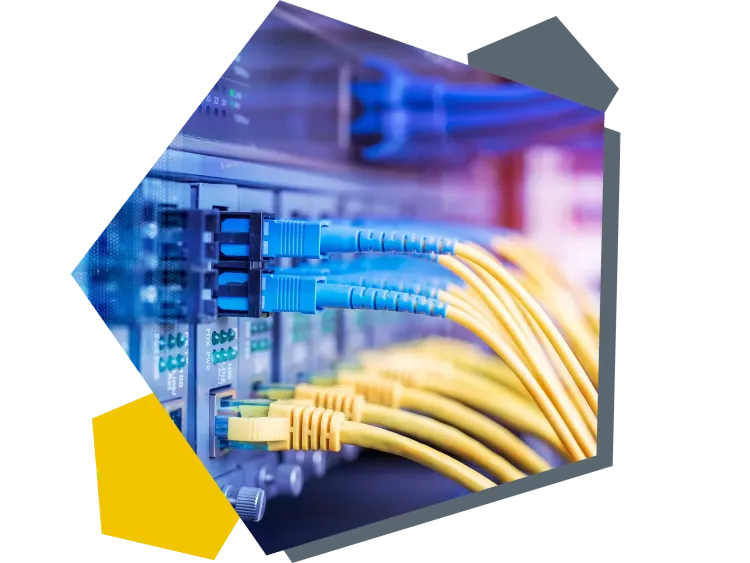 Server, in dem LAN-Kabel stecken