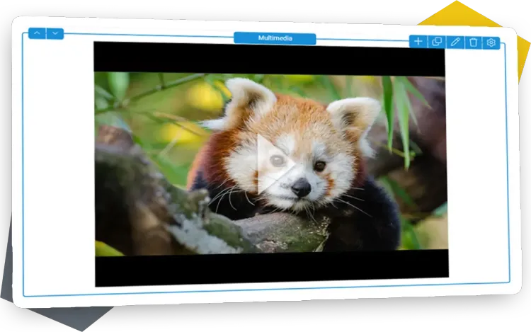 Strapi PageBuilder Multimedia Screenshot of the Multimedia content element with an implemented video in the PageBuilder layout.